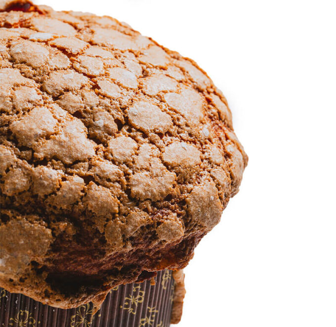 Panettone Tradicional 500g